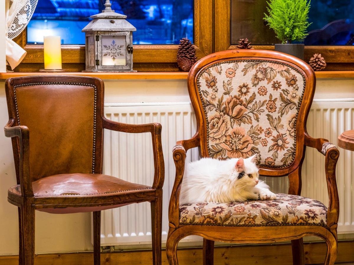 Willa Rys Zakopane Exteriör bild